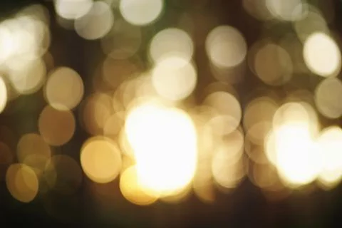 Natural pine background blurred focus. Defocus light lens flare in the forest Stock Photos