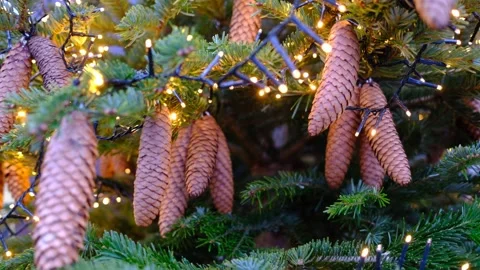 Natural pine cones and bright string lights Stock Footage 328638293