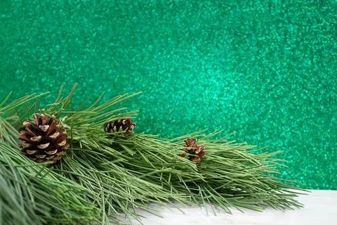 Natural pine tree Branches with cones on white table. Blurred green bokeh Stock Photos