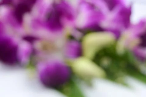 Natural ping blurred background Stock Photos