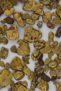 Natural Placer Gold Nuggets - California USA Stock Photos