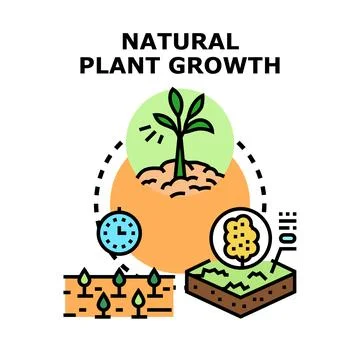 Natural plant growth developing healthy plants concept Stock Illustration