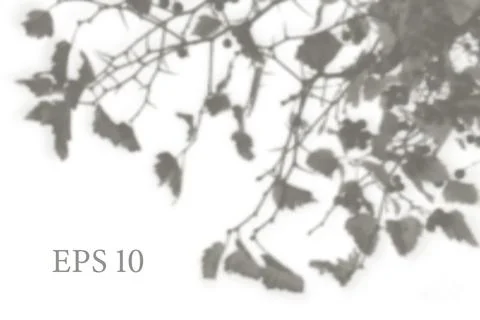 Natural plant shadow. Mesh soft overlay light effects Stock Illustration