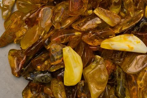 Natural, polished Baltic amber found on a beach in Kolobrzeg, Poland. Stock Photos