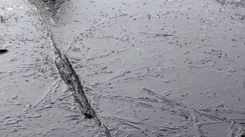 Natural pond freezing, E USA Stock Footage 120655883