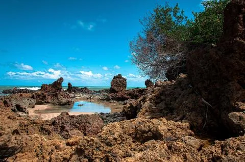 Natural pool among the rocks Stock Photos