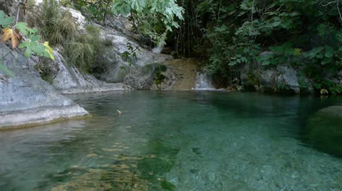 Natural pool Stock Footage 35560148
