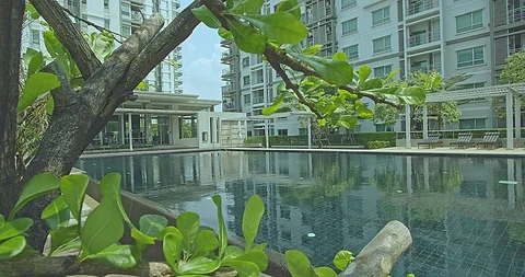 Natural pool Video stock 105557053