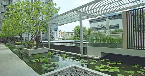 Natural pool Video stock 105559307