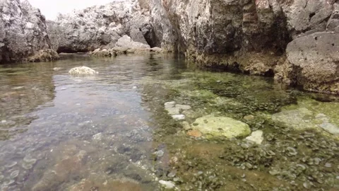 Natural pool 스톡 동영상 237019933