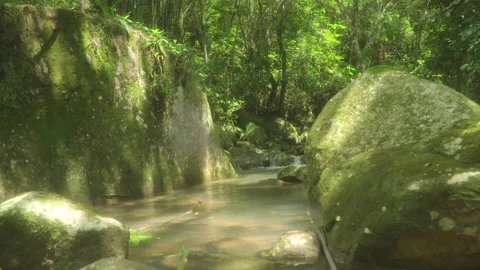 Natural pool Stock Footage 260728534