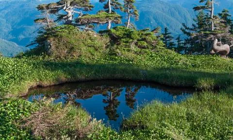 Natural pool in mountains Fotos Stock