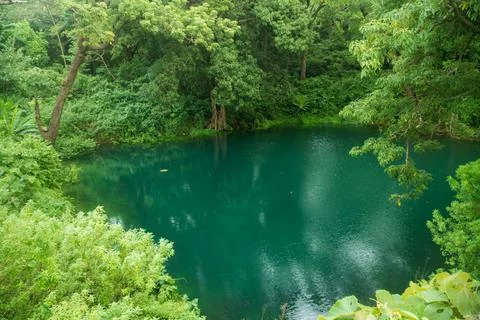 Natural pool Stock Photos