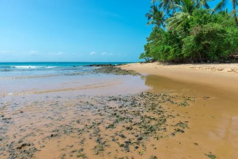Natural pools in Peninsula de Marau Bahia Stock-Fotos