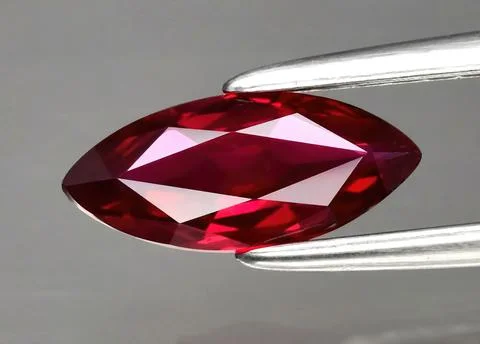 Natural precious red ruby in tongs on a gray background Stock Photos