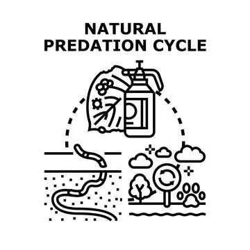 Natural predation cycle concept forming ecosystem equilibrium Stock Illustration