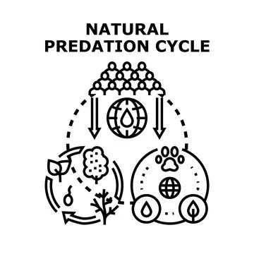 Natural predation cycle concept vector illustration Stock Illustration