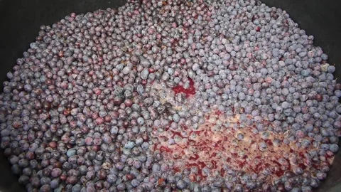 Natural process and sound of fermentation of plum sugar into alcohol Stock Footage 245156757