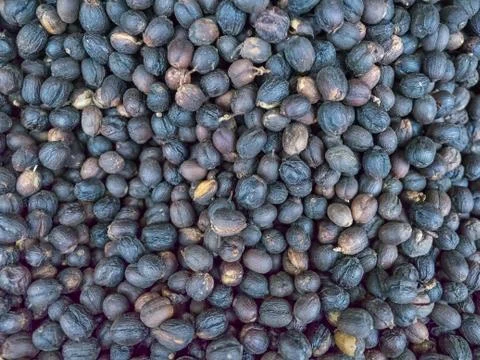 Natural process coffee beans Stock Photos