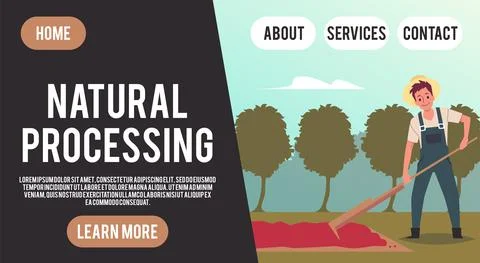Natural processing of coffee website banner template flat vector illustration Stock Illustration