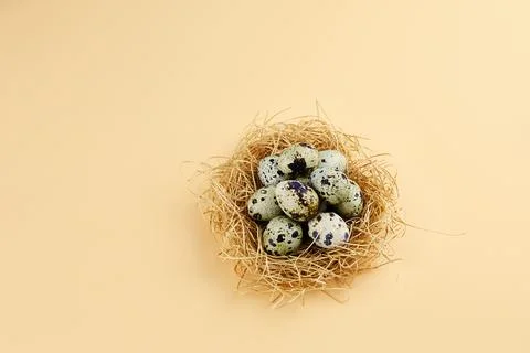 Natural quail eggs. Spring Easter holiday. Copy space Stock Photos