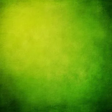 Natural qualitative texture. Close up. Stock Photos