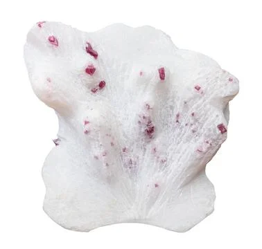 Natural quartz rock with ruby crystals isolated Stock Photos