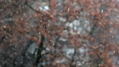 Natural Randomly Falling Snow On A Blurry Background Slow Motion Stock-Footage 166524952