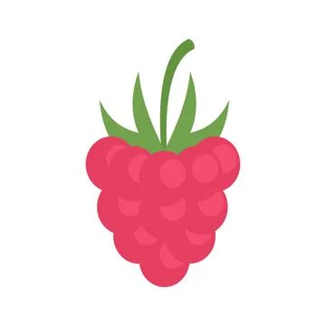 Natural raspberry icon flat isolated Stockillustratie