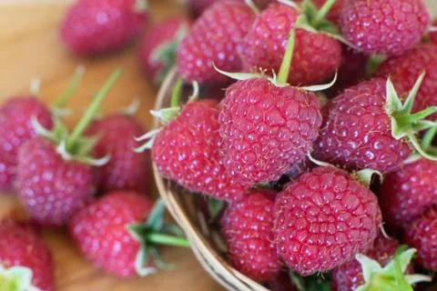 Natural raspberry Stock Photos