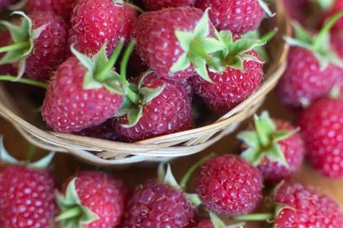 Natural raspberry Stock Photos