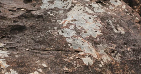 Natural Raw stone Texture Vidéo 335685577
