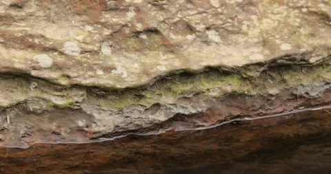 Natural Raw stone Texture 動画素材 335686451