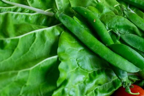 Natural raw vegetables on blue table. Stock Photos
