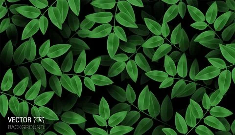 Natural Realistic pattern branch with fresh green leaves. Colorful dark backg Stock Illustration