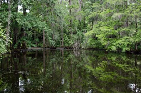 Natural reflections Stock Photos