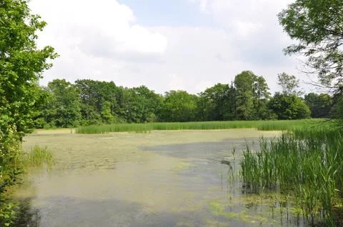 Natural reservation Stock Photos