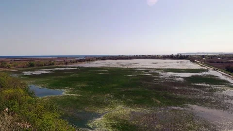 Natural Reserve Viewpoint Stock Footage 154557888