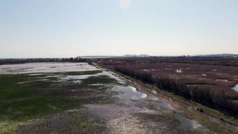 Natural Reserve Viewpoint Stock Footage 154557901
