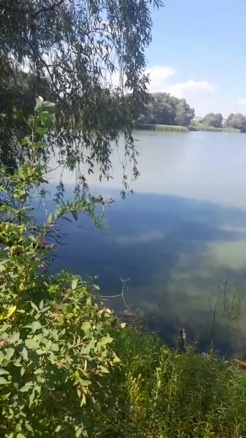 Natural reservoir Stock-Footage 314183426