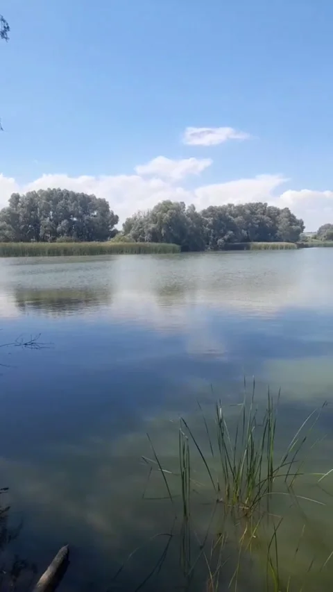 Natural reservoir Stock Footage 314183429