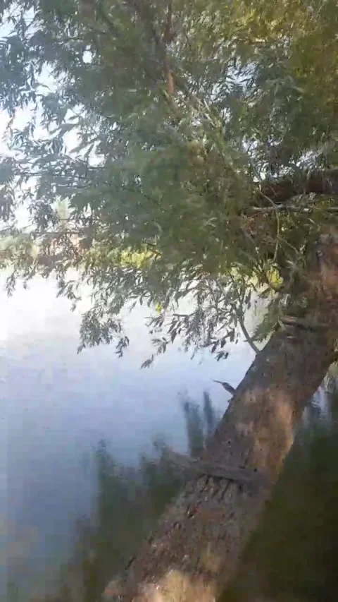 Natural reservoir Stock-Footage 314183442