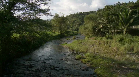 Natural River during magic hour with Trees giving shade Stock Footage 555607