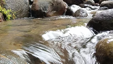 Natural River Flow in Forest – Calm Water Stream Background Stock Footage 330548084