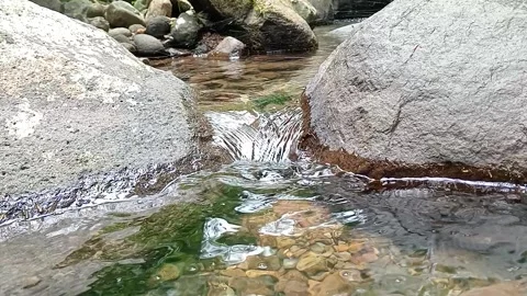 Natural River Flow Over Rocky Bed Fresh Water Stream Stock Footage 330566894