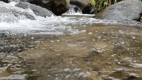 Natural River Flowing Over Rocks in Forest Environment Stock Footage 329818505