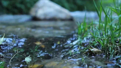 Natural river Stock Footage 113965734