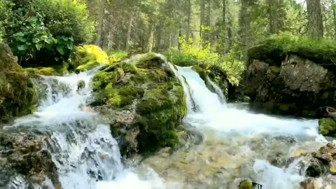 Natural River Stock Footage 230392825