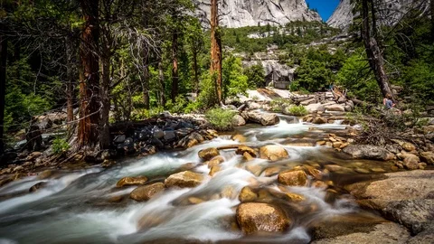 Natural river in forest time lapse Stock Footage 95391153