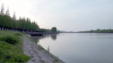 Natural River Landscape Empty Scene Real Time Footage Stock Footage 319651188